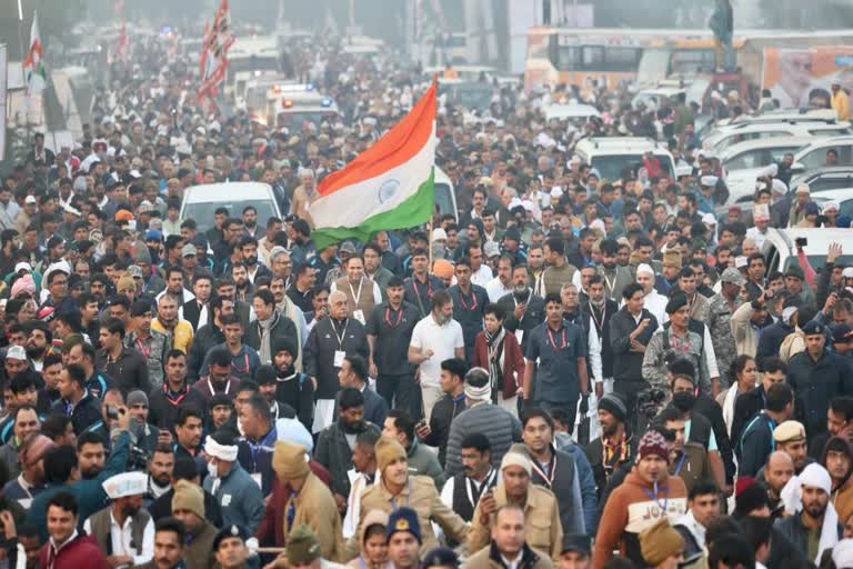 rahul gandhi bharat jodo yatra in haryana