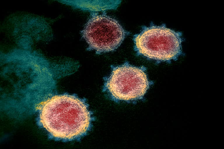 Genome sequencing instructions given to states (representational image)