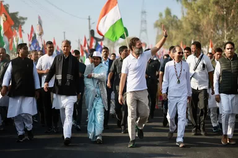 Bharat Jodo Yatra in rajasthan