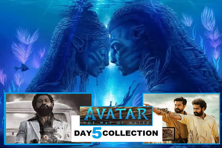 avatar box office collection