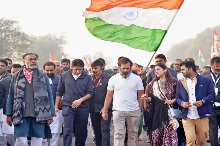 Rahul Gandhi Bharat Jodo Yatra in Haryana