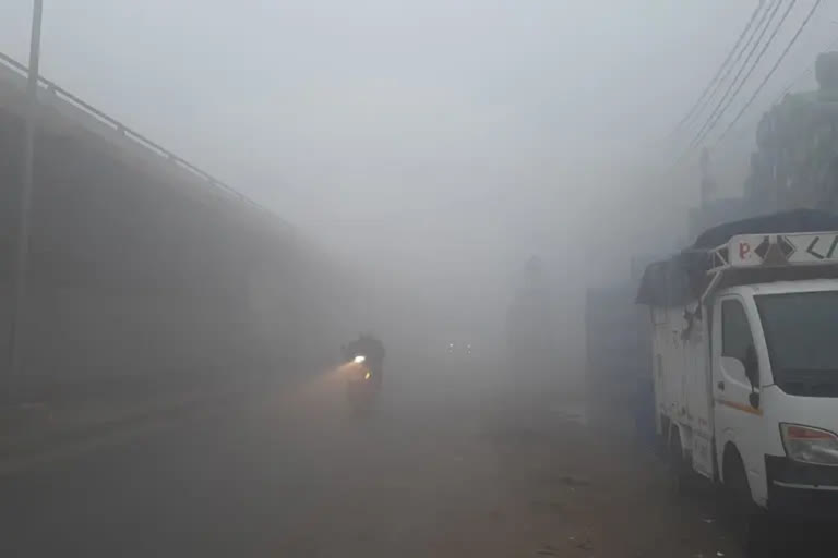 Cold wave, dense fog throw life out of gear in Indo-Gangetic plains including Delhi