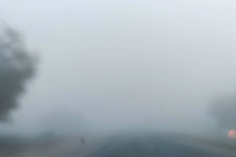 Dense fog in parts of Rajasthan, Bikaner coldest at 4.6 degree C