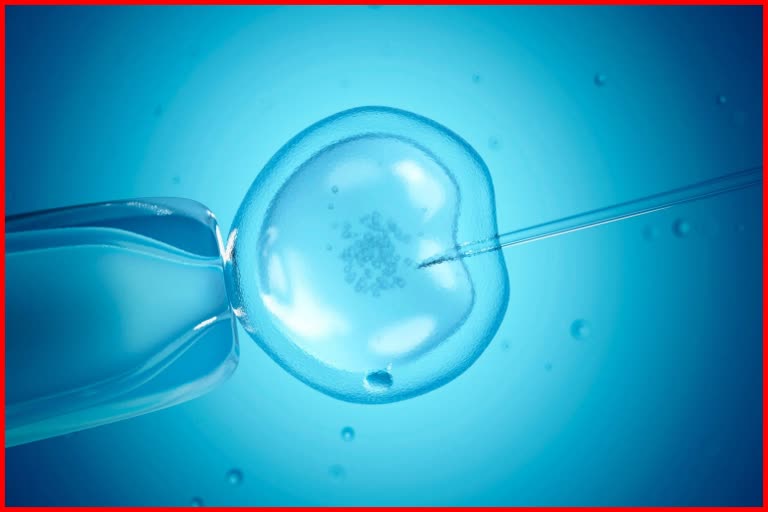 Artificial intelligence helps IVF succeed