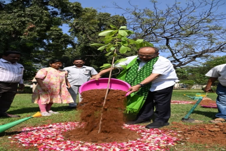 Chief Secretary Somesh Kumar planted the sapling