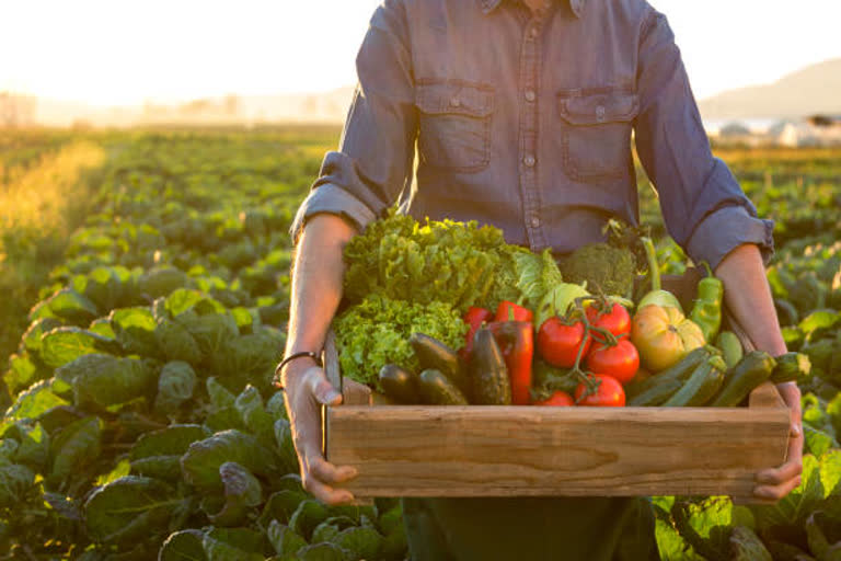 Vegetables Price: શાકભાજીના ભાવમાં સામાન્ય રાહત