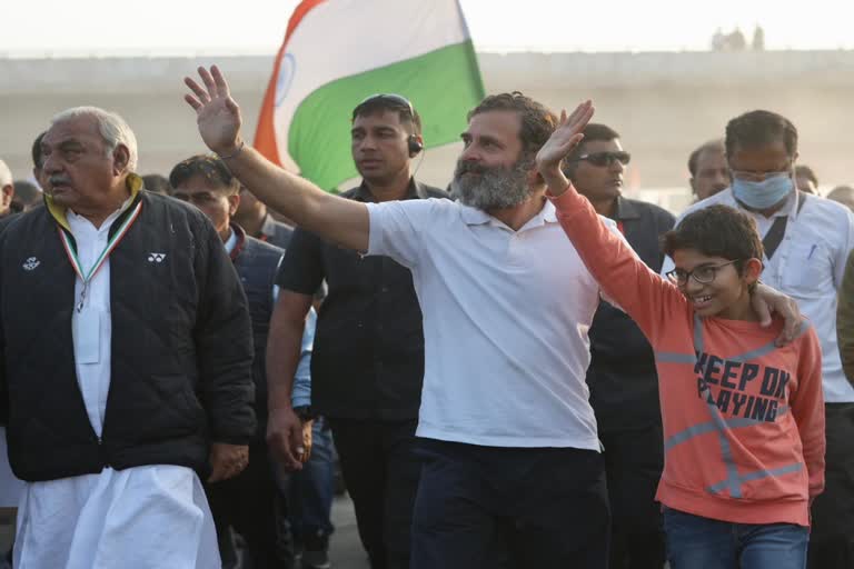 rahul gandhi bharat jodo yatra in haryana