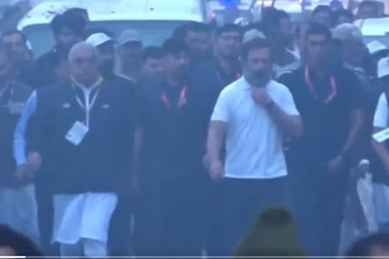 Rahul Gandhi in Bharat Jodo Yatra