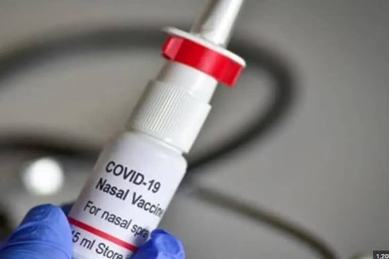 Nasal Corona Vaccine