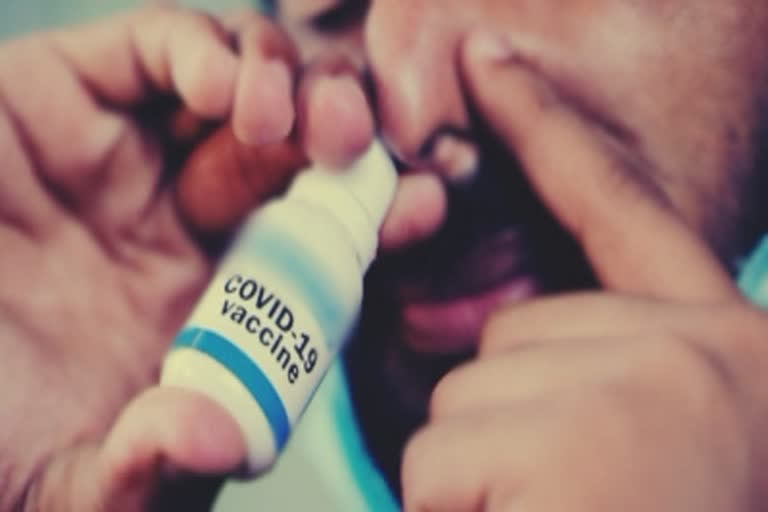cdsco approved nasal covid vaccine on Sep 5 govt