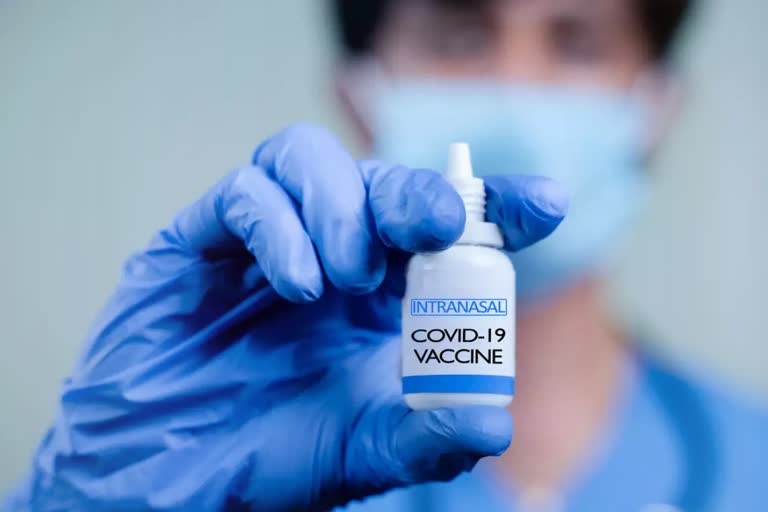 Centre approves nasal vaccine for Covid  nasal vaccine for Covid  Covid vaccine  COVID 19  മൂക്കിലൂടെ സ്വീകരിക്കുന്ന കൊവിഡ് വാക്‌സിന്‍  കൊവിഡ് വാക്‌സിന് കേന്ദ്ര അംഗീകാരം  പുതിയ കൊവിഡ് വകഭേദങ്ങള്‍  മൂക്കിലൂടെ സ്വീകരിക്കുന്ന വാക്‌സിന്‍  Nasal Vaccine