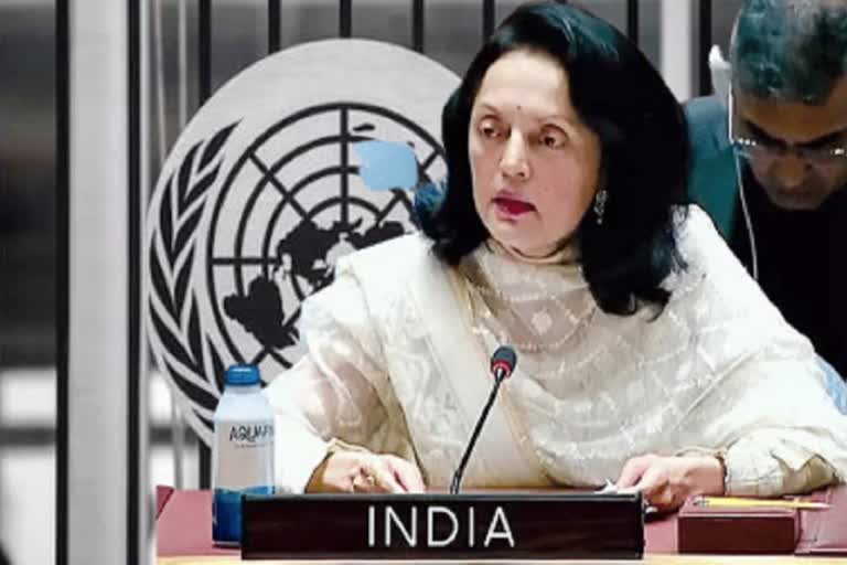 Indian Envoy Ruchira Kamboj says there were instances when India had to stand alone during two years of UNSC tenure
