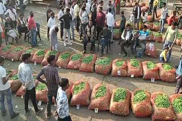 Farmers of green peas of Jabalpur are upset