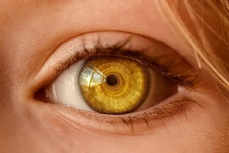 NIH researchers use 3D bioprinting to create eye tissue