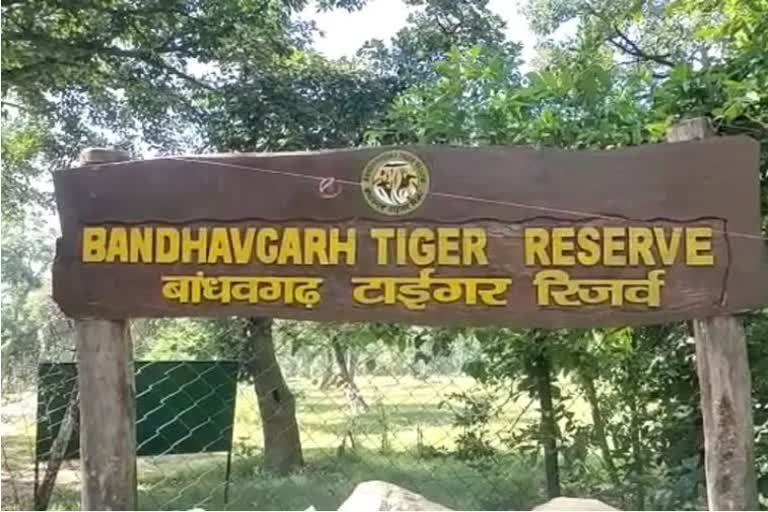 90 percent booking in all tiger reserves