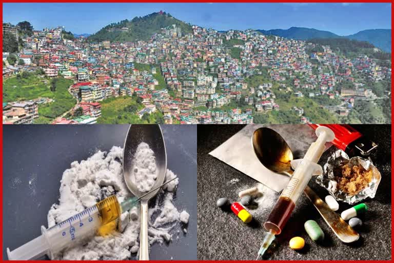 drug cases in shimla district
