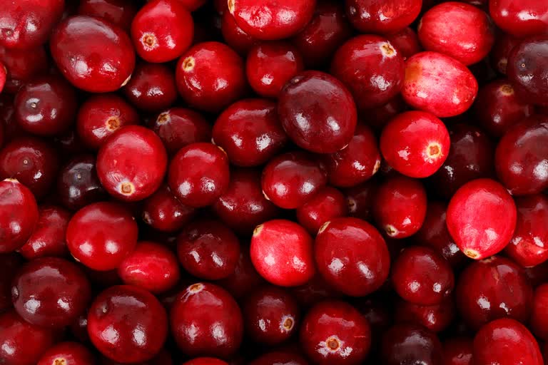 Cranberry is super effective for skin know how to use it