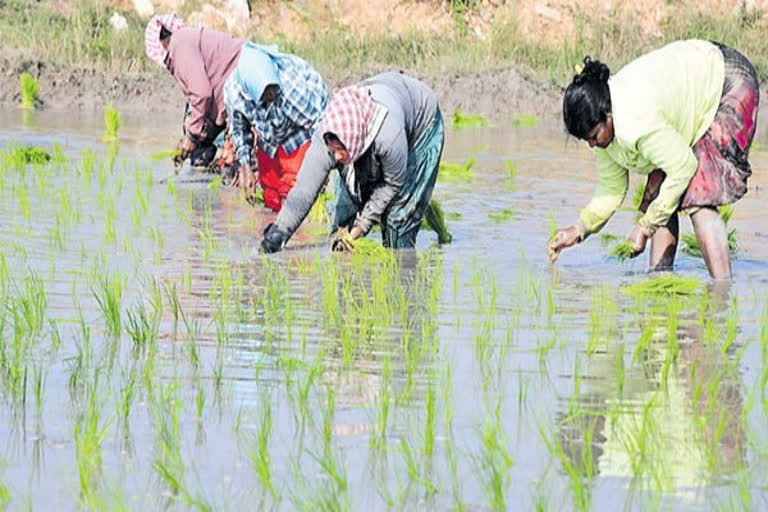 Costs of Growing Crops Are Increasing