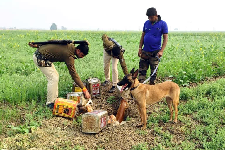 शेखपुरा में शराब तस्करी