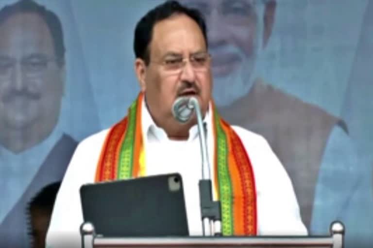 BJP national chief J P Nadda