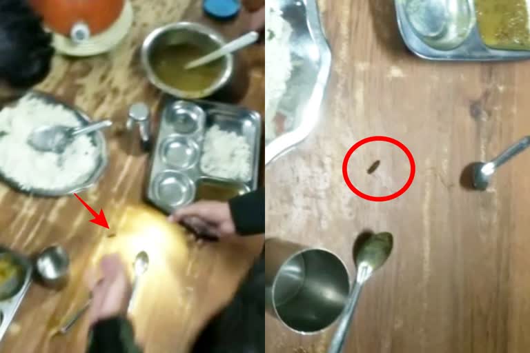 Worms found in food at Kurukshetra University