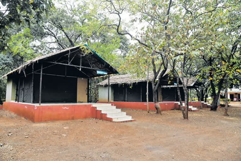 Three Years Since Majidgadda Jungle Camp Was Closed
