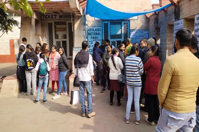 Tourists Coming to Bharatpur