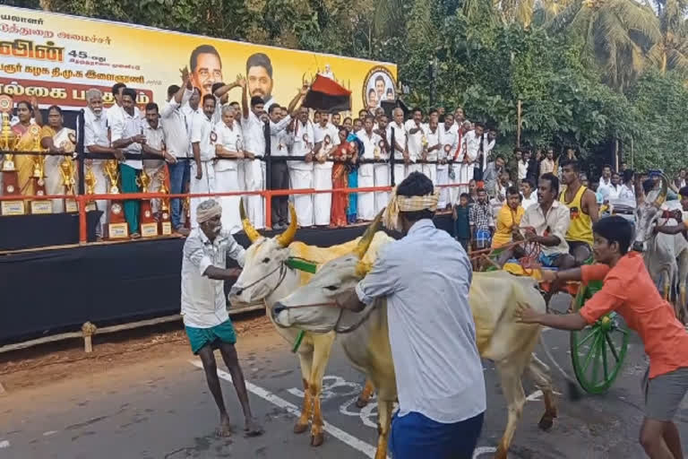 சீறிப் பாய்ந்த மாடுகள்;மாஸ் காட்டிய பந்தயம்- புதுக்கோட்டையில் களைகட்டிய திருவிழா!