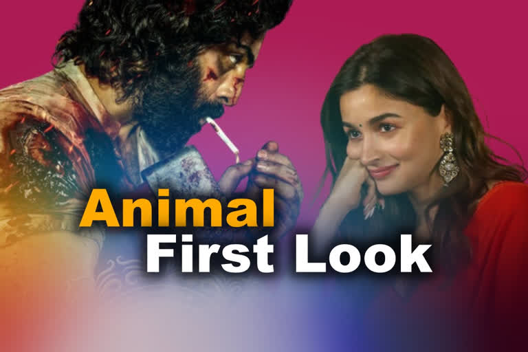 Ranbir Kapoor looks savage in first look from Animal, Alia Bhatt reacts, ranbir  kapoor first look from animal out alia bhatt reacts