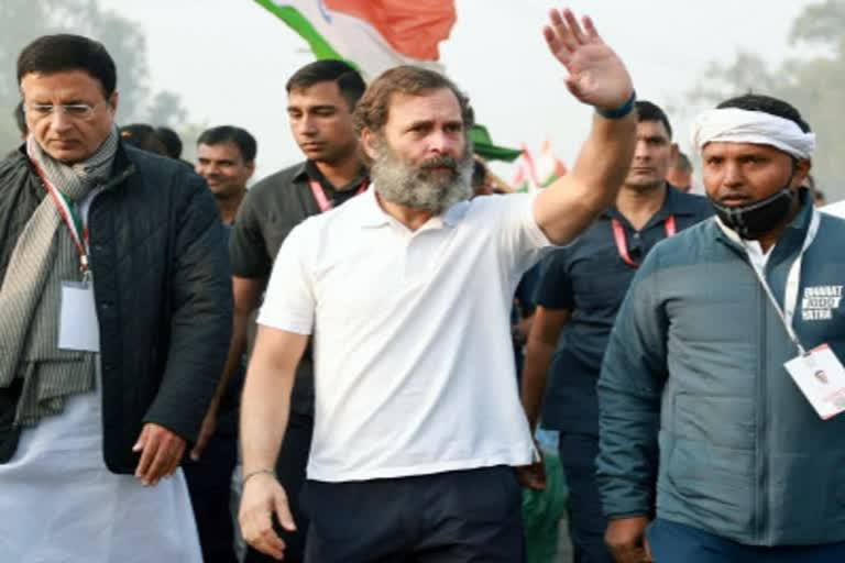 Preparations on for Rahul Gandhi's 'Bharat Jodo Yatra' in UP