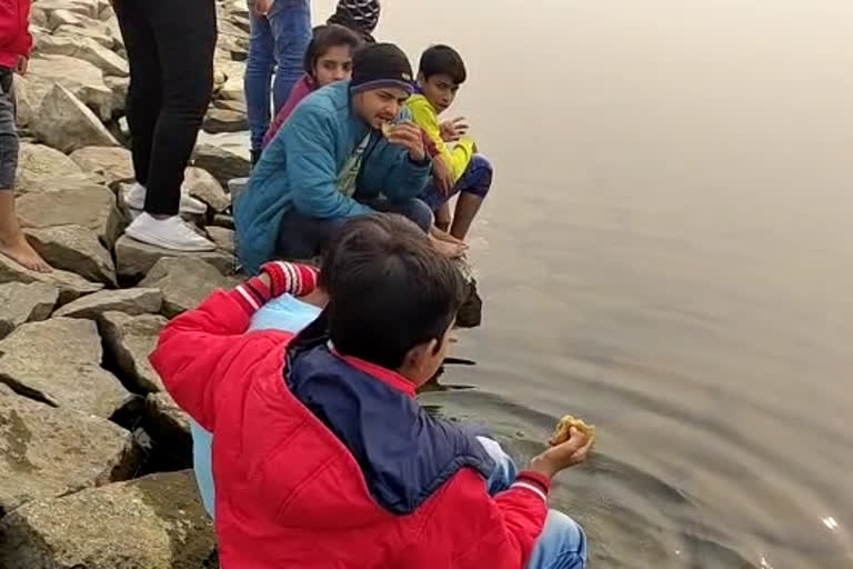 Tourist Gathered At Ranchi Picnic Spots