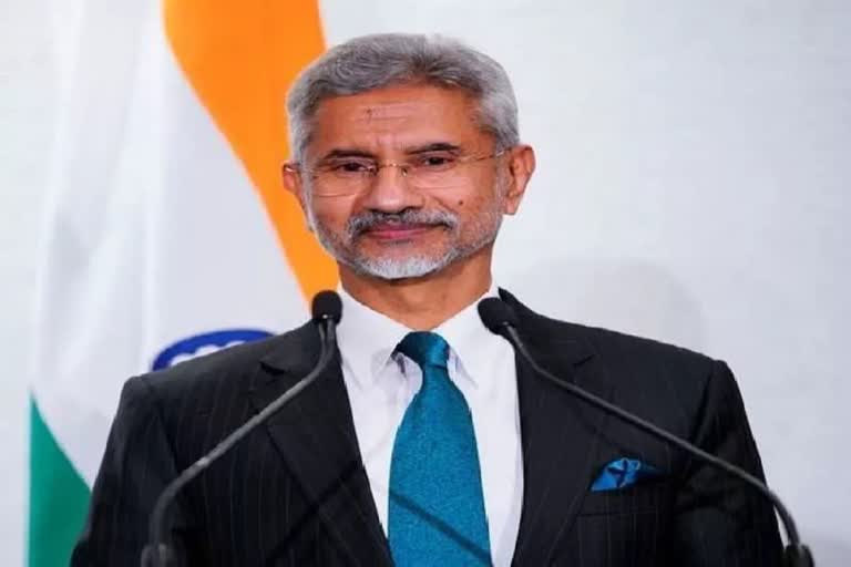 India getting chairmanship of G20 a great achievement: Jaishankar (file photo)