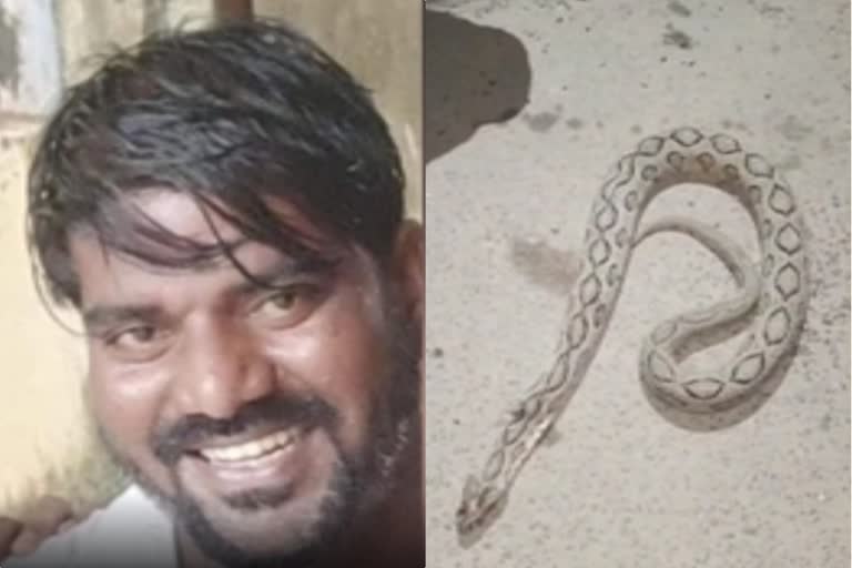 person died to snake bite in tamil nadu