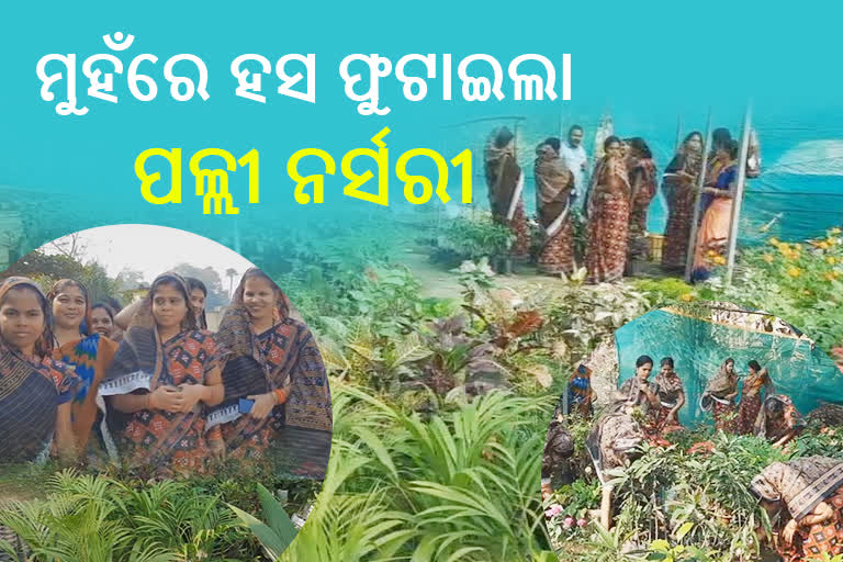 ସ୍ବୟଂ ସହାୟକ ଗୋଷ୍ଠିର ମହିଳାଙ୍କୁ ରୋଜଗାରକ୍ଷମ କରିଛି ପଲ୍ଲୀ ନର୍ସରୀ