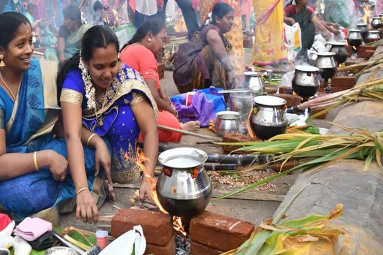 Pongal festival 2023