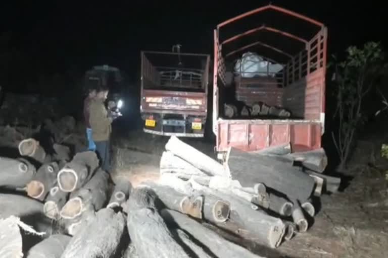 illegal wood seized