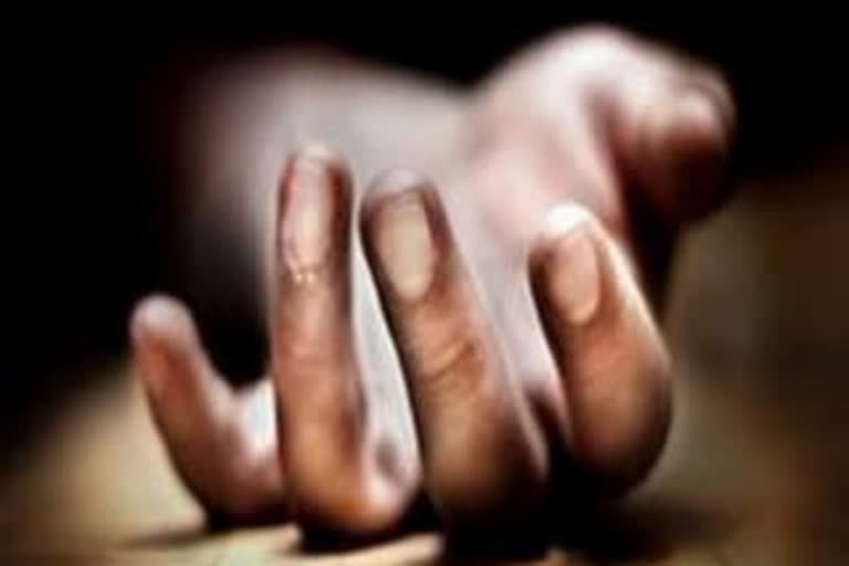 Woman kills alcoholic son in law in Nagpur