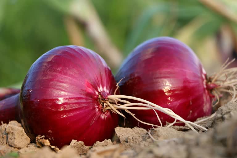 health benefits of drinking onion juice