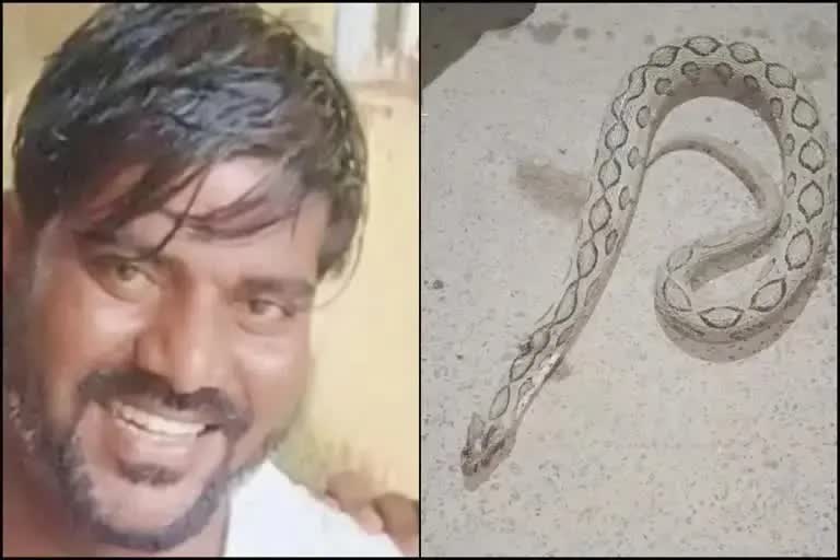 Drunken Man Caught a snake playfully Died after the snake bitten him in Kuddalore of Tamil Nadu