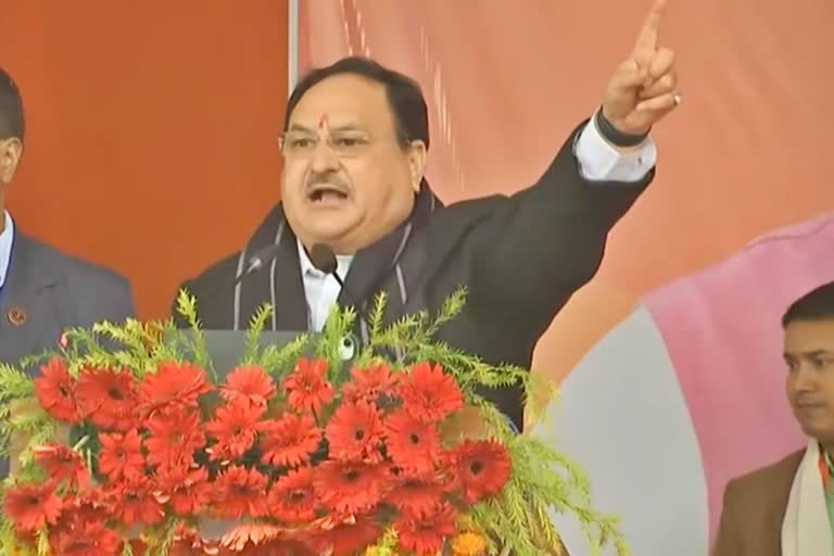 BJP National President JP Nadda