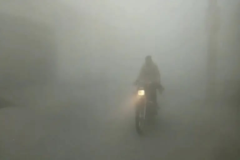 Dense fog in Haryana