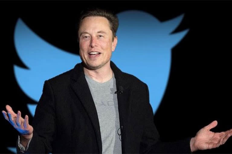 Musk on Twitter account suspension