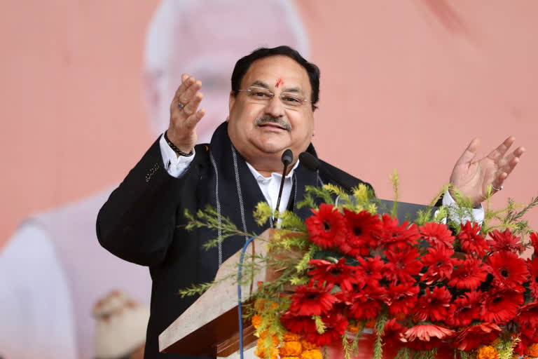 BJP president J P Nadda mounts attack on the formation of the 'Mahagathbandhan' (Grand Alliance) government revives 'Jungle Raj' taunt, and says law and order in shambles in Bihar.