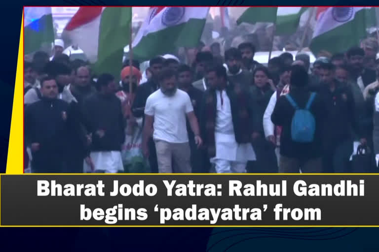 Bharat Jodo Yatra in UP