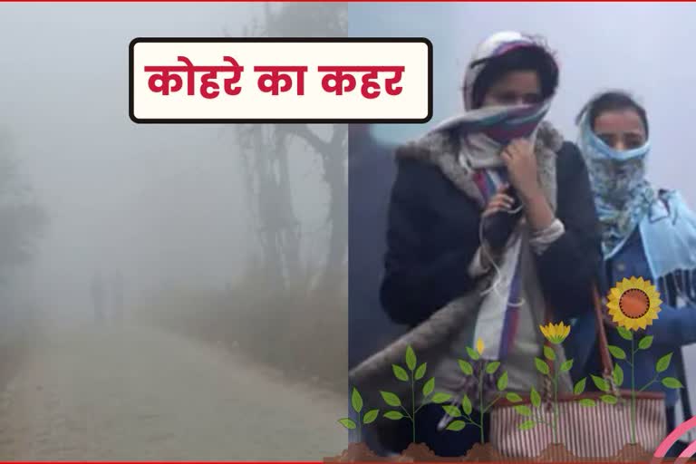 Haryana Weather Update