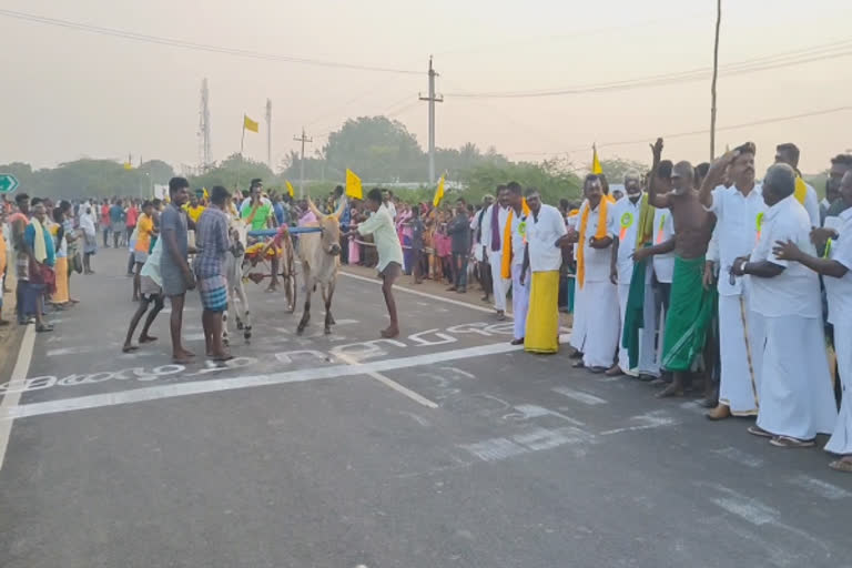 மாட்டு வண்டி பந்தயத்தில் நடந்த விபரீதம்- வேடிக்கை பார்த்த 4 பேருக்கு காயம்!