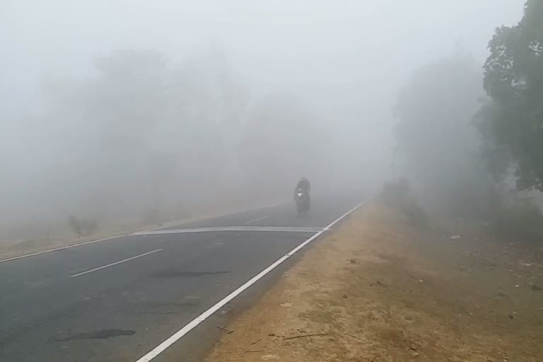 Fog wreaks havoc in shahdol