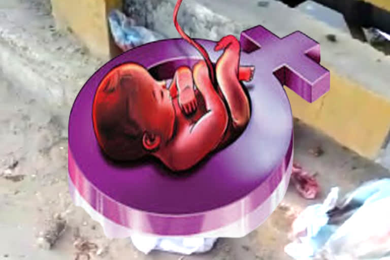 fetus found in Hisar undeveloped fetus found in Hisar Azad Nagar Canal incident of Hisar