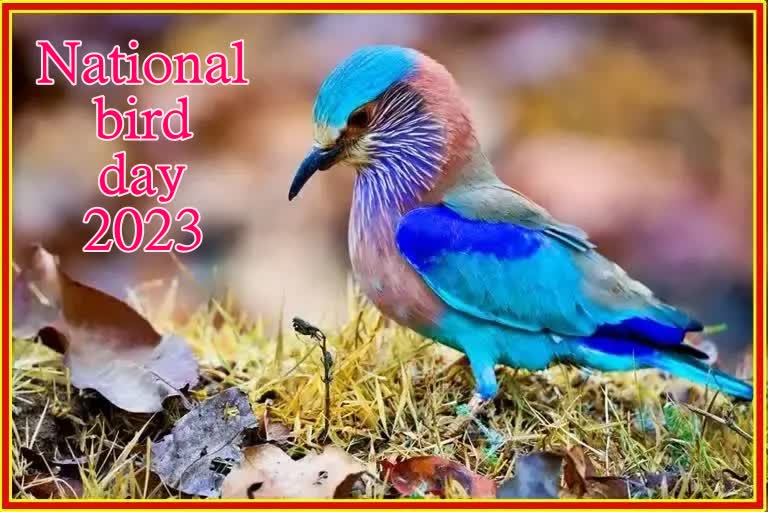 National bird day 2023