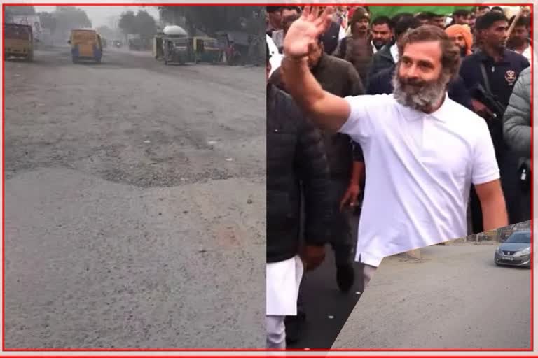 Rahul Gandhi Bharat Jodo Yatra In Haryana